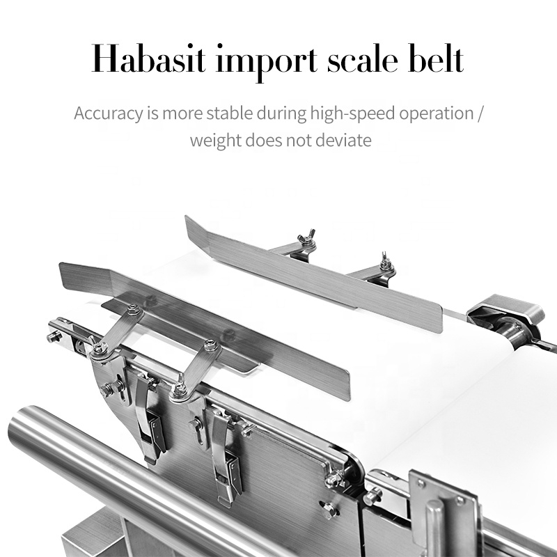 آلة تدقيق الوزن ذات ناقل أوتوماتيكي عالي السرعة